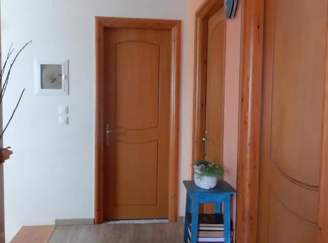 Niki Prázdninový dům *