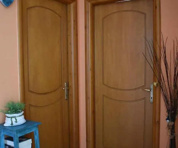 Niki Prázdninový dům *